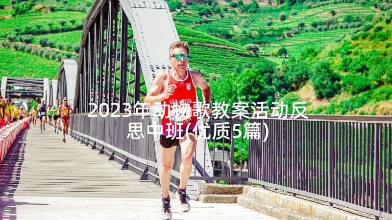 2023年动物歌教案活动反思中班(优质5篇)