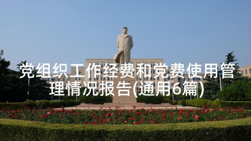 党组织工作经费和党费使用管理情况报告(通用6篇)