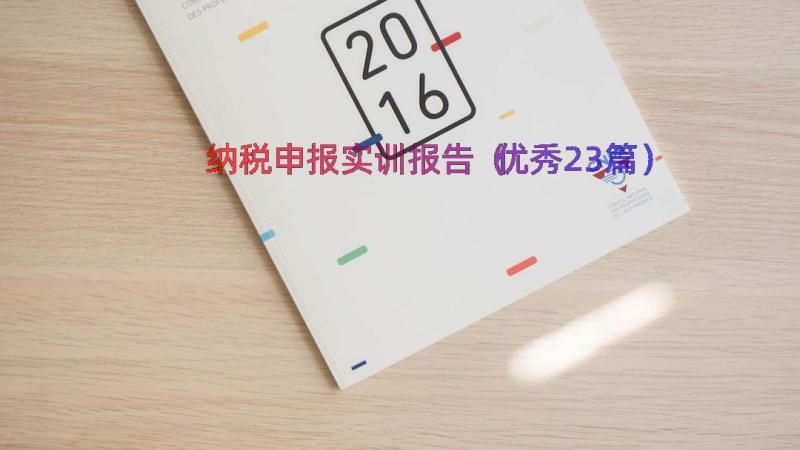 纳税申报实训报告（优秀23篇）