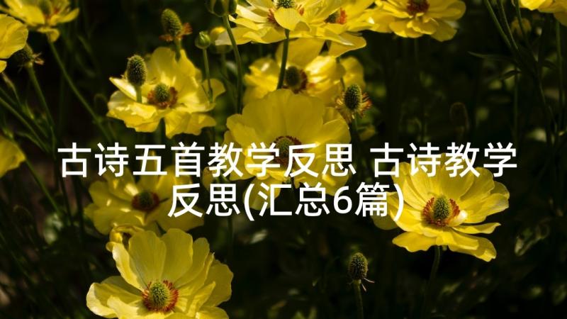 古诗五首教学反思 古诗教学反思(汇总6篇)