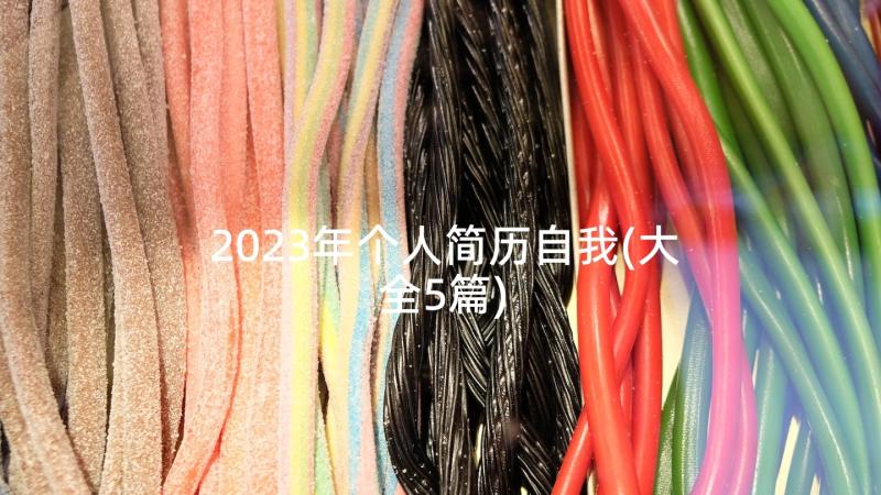 2023年个人简历自我(大全5篇)