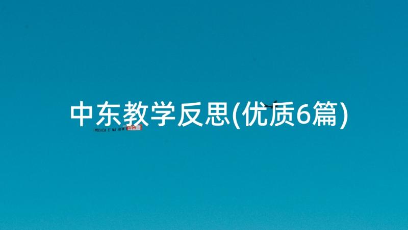 中东教学反思(优质6篇)