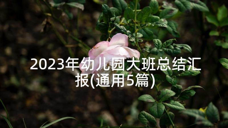 2023年幼儿园大班总结汇报(通用5篇)