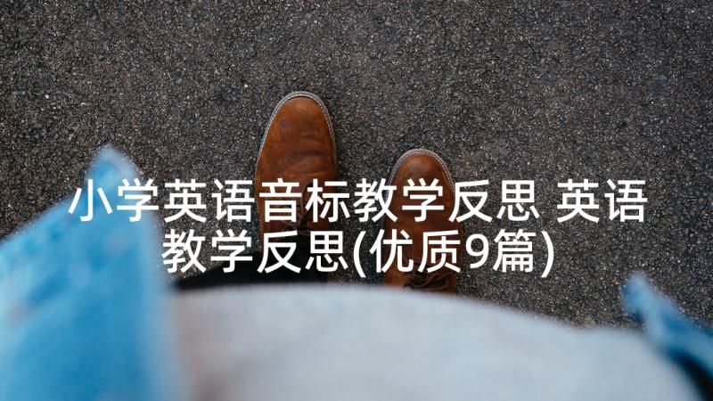 小学英语音标教学反思 英语教学反思(优质9篇)