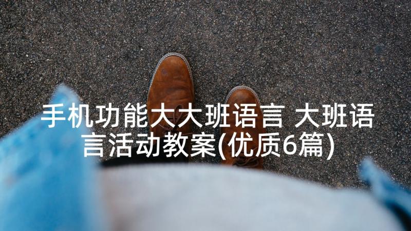 手机功能大大班语言 大班语言活动教案(优质6篇)