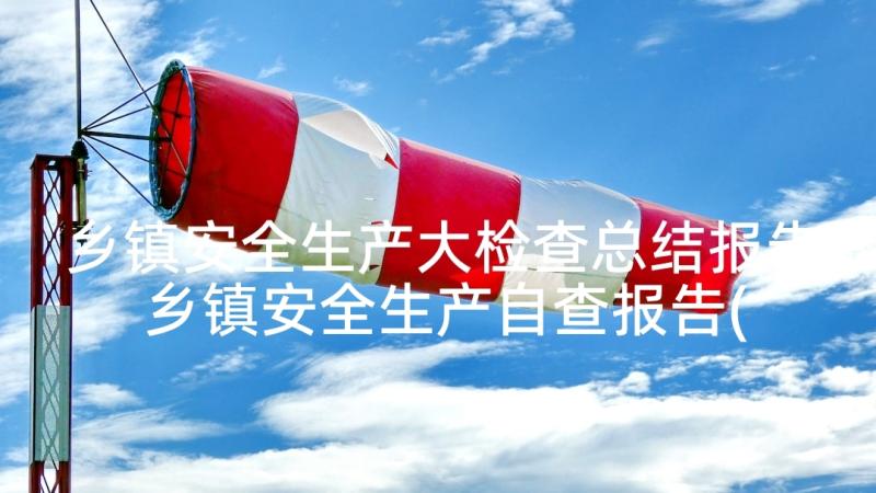 乡镇安全生产大检查总结报告 乡镇安全生产自查报告(优质5篇)