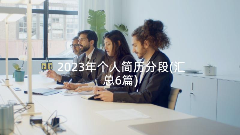 2023年个人简历分段(汇总6篇)