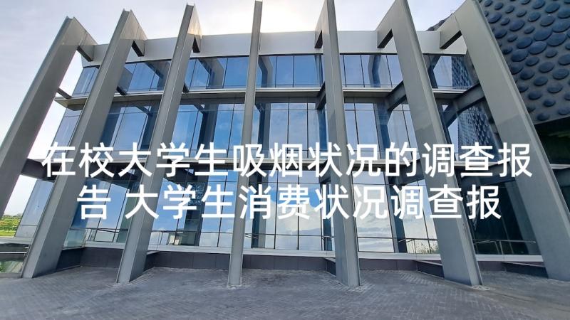 在校大学生吸烟状况的调查报告 大学生消费状况调查报告(模板9篇)