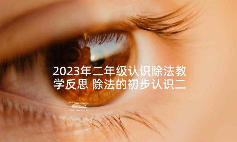 2023年二年级认识除法教学反思 除法的初步认识二年级数学教学反思(实用5篇)