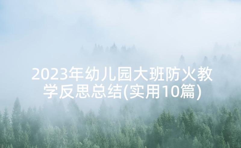 2023年幼儿园大班防火教学反思总结(实用10篇)