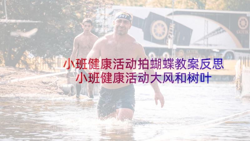 小班健康活动拍蝴蝶教案反思 小班健康活动大风和树叶教学反思(通用5篇)