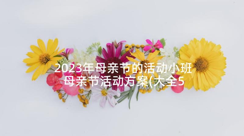 2023年母亲节的活动小班 母亲节活动方案(大全5篇)