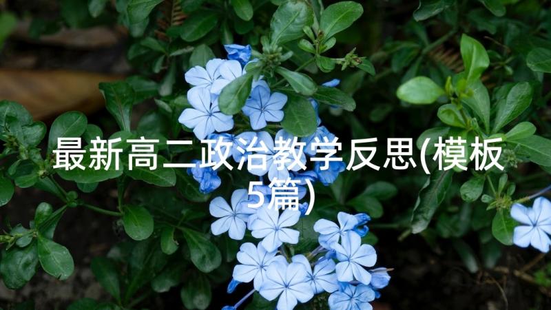 最新高二政治教学反思(模板5篇)