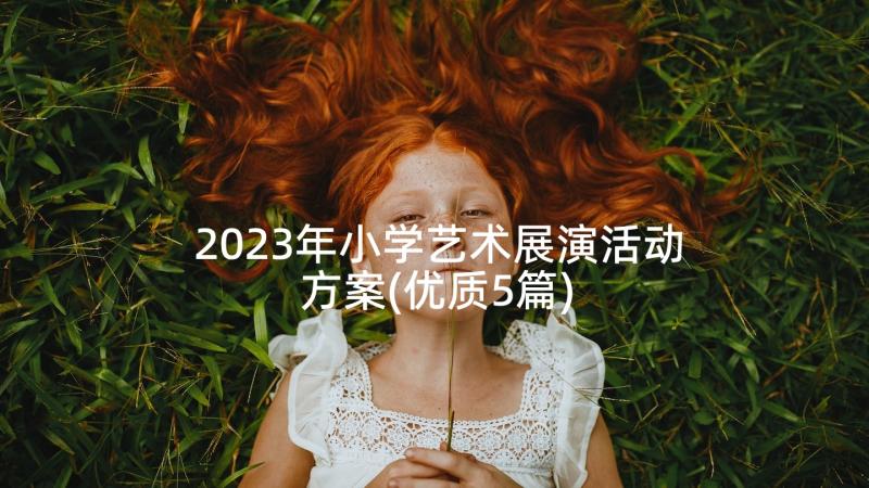 2023年小学艺术展演活动方案(优质5篇)