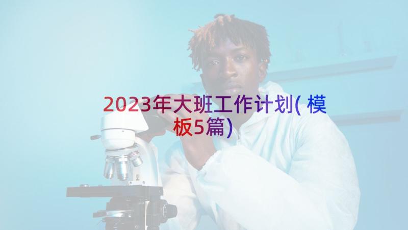 2023年大班工作计划(模板5篇)