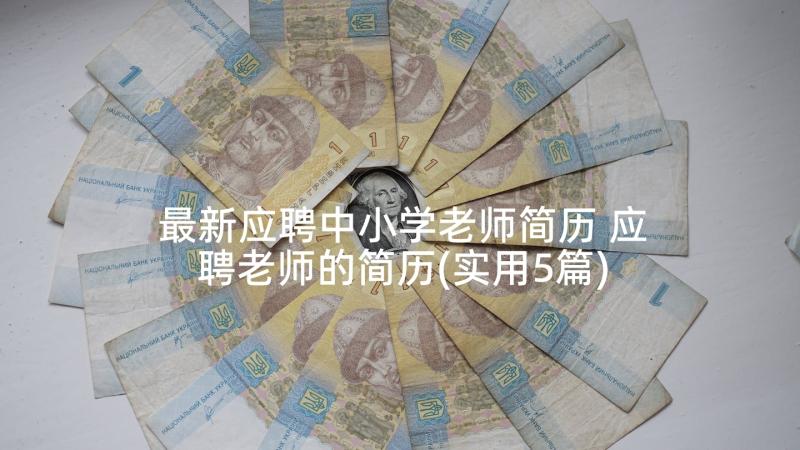 最新应聘中小学老师简历 应聘老师的简历(实用5篇)