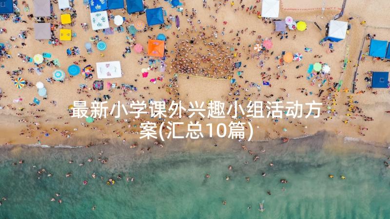 最新小学课外兴趣小组活动方案(汇总10篇)