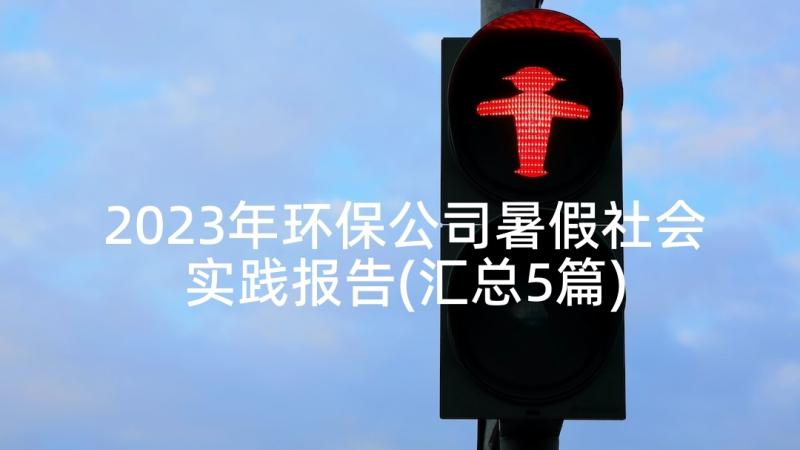 2023年环保公司暑假社会实践报告(汇总5篇)