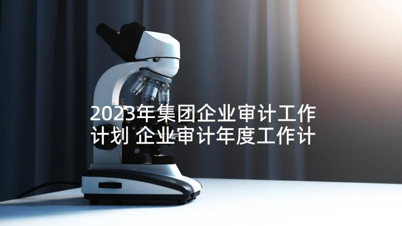 2023年集团企业审计工作计划 企业审计年度工作计划(大全5篇)