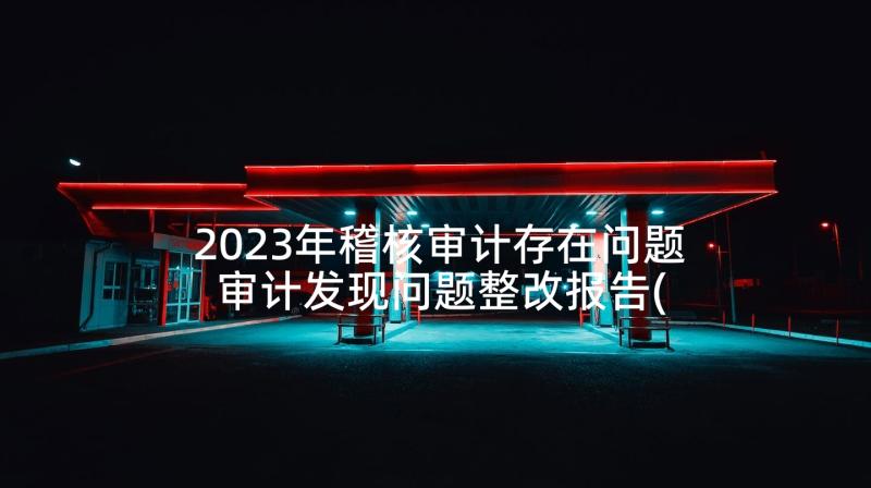 2023年稽核审计存在问题 审计发现问题整改报告(通用6篇)