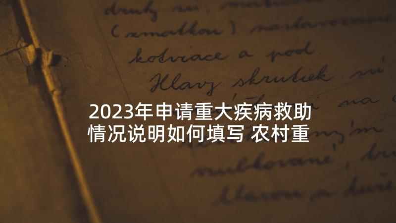 2023年申请重大疾病救助情况说明如何填写 农村重大疾病低保申请书(大全5篇)