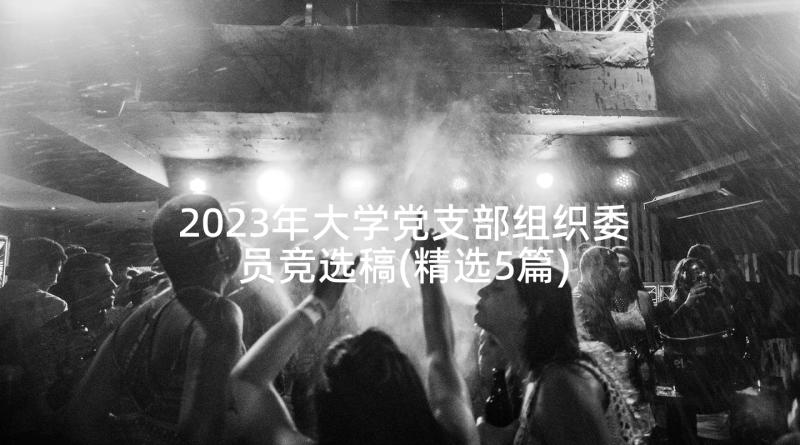 2023年大学党支部组织委员竞选稿(精选5篇)