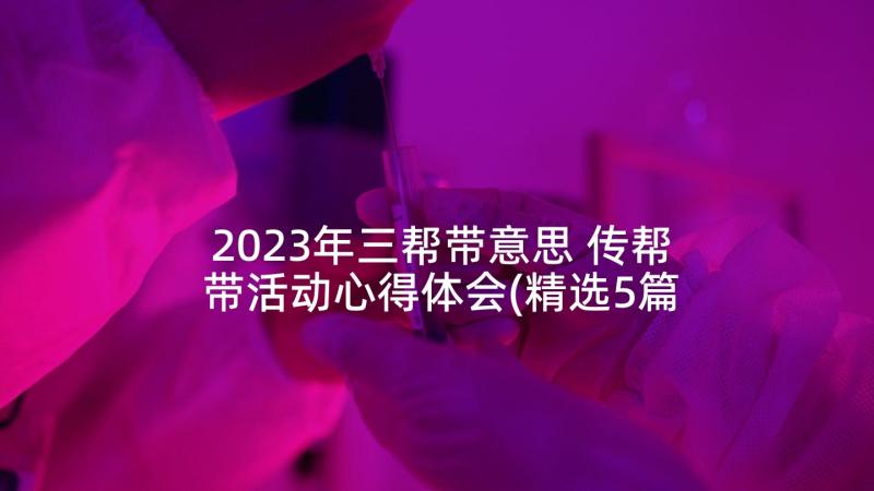 2023年三帮带意思 传帮带活动心得体会(精选5篇)