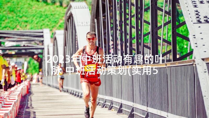 2023年中班活动有趣的叶脉 中班活动策划(实用5篇)