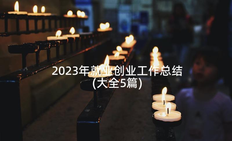 2023年就业创业工作总结(大全5篇)