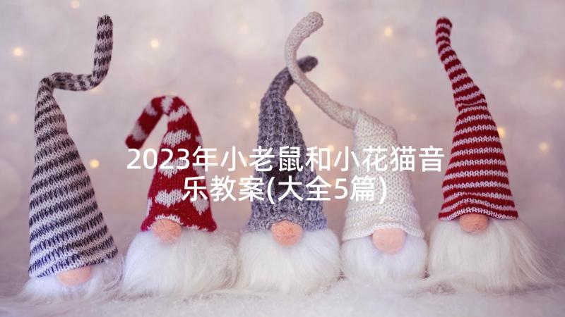 2023年小老鼠和小花猫音乐教案(大全5篇)