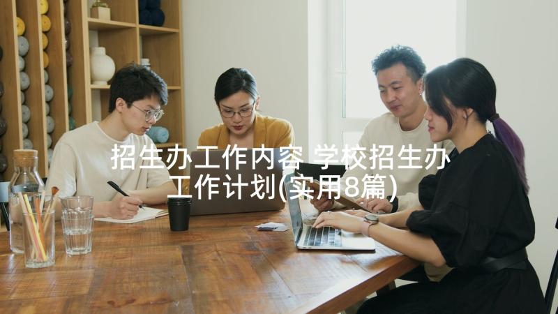 招生办工作内容 学校招生办工作计划(实用8篇)