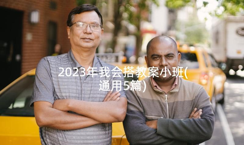 2023年我会搭教案小班(通用5篇)