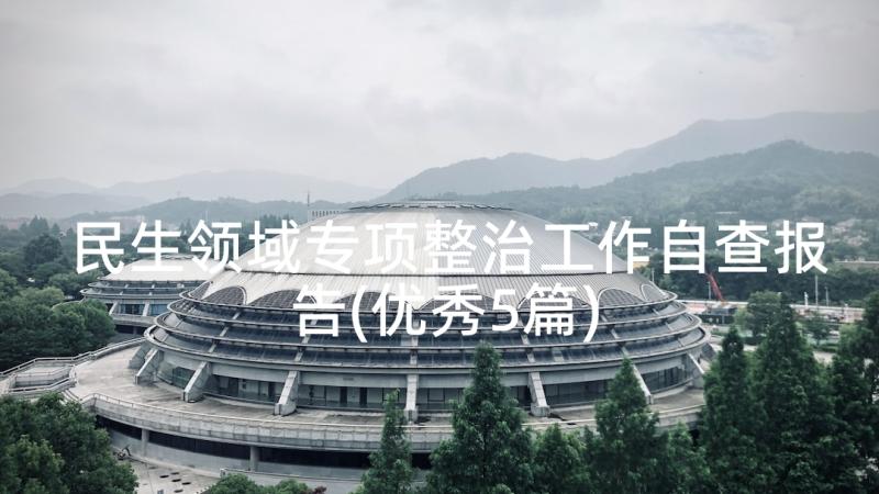 民生领域专项整治工作自查报告(优秀5篇)