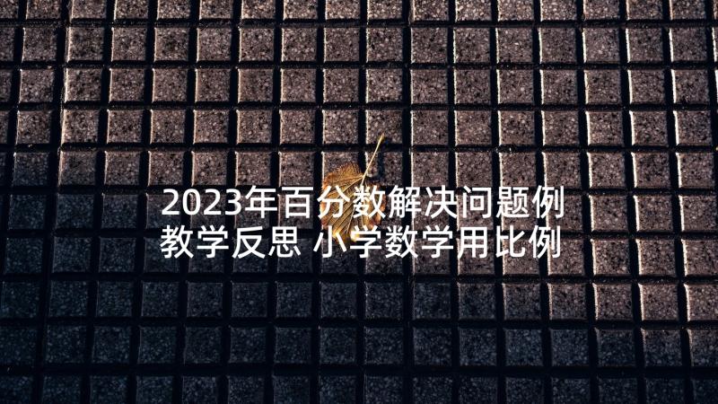 2023年百分数解决问题例教学反思 小学数学用比例尺解决问题教学反思(大全5篇)