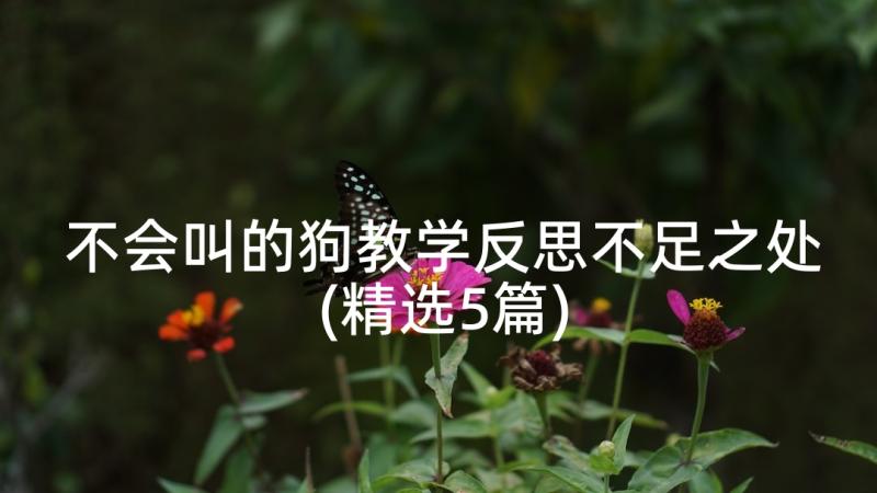 不会叫的狗教学反思不足之处(精选5篇)