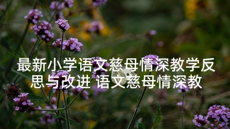 最新小学语文慈母情深教学反思与改进 语文慈母情深教学反思(汇总5篇)