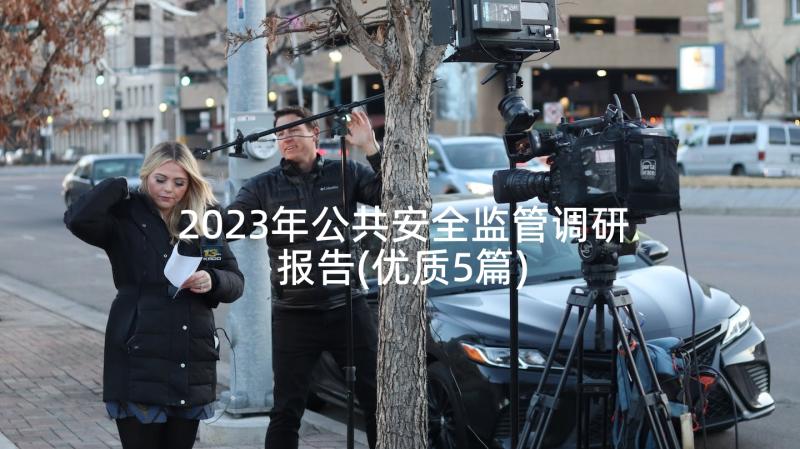 2023年公共安全监管调研报告(优质5篇)