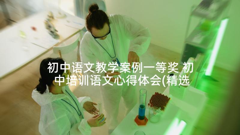 初中语文教学案例一等奖 初中培训语文心得体会(精选9篇)