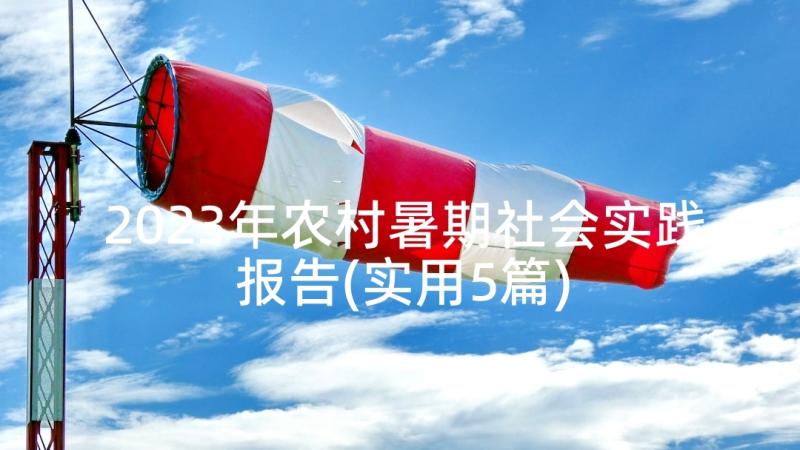 2023年农村暑期社会实践报告(实用5篇)