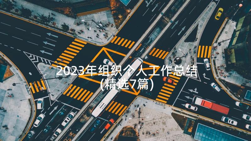 2023年组织个人工作总结(精选7篇)