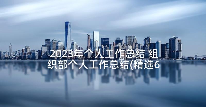 2023年个人工作总结 组织部个人工作总结(精选6篇)