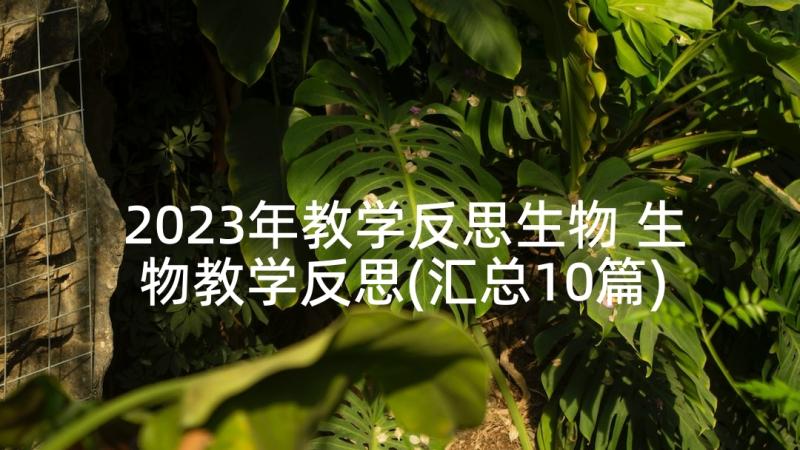 2023年教学反思生物 生物教学反思(汇总10篇)