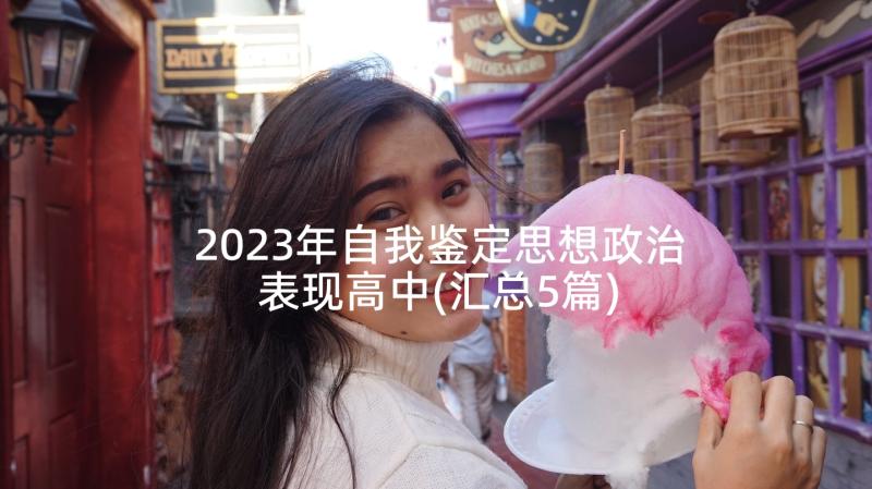 2023年自我鉴定思想政治表现高中(汇总5篇)