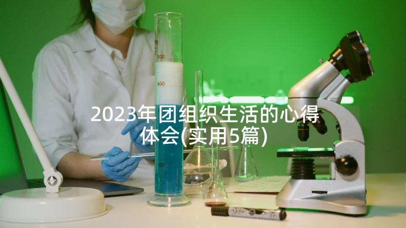 2023年团组织生活的心得体会(实用5篇)