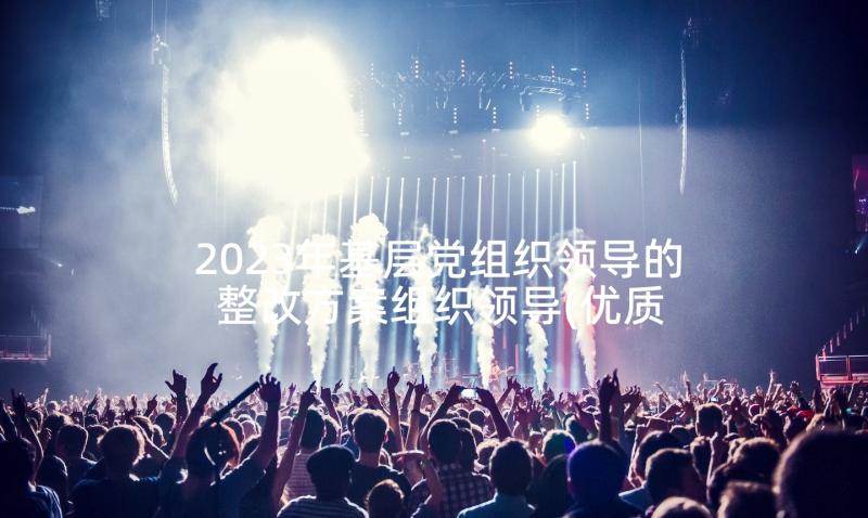 2023年基层党组织领导的 整改方案组织领导(优质6篇)