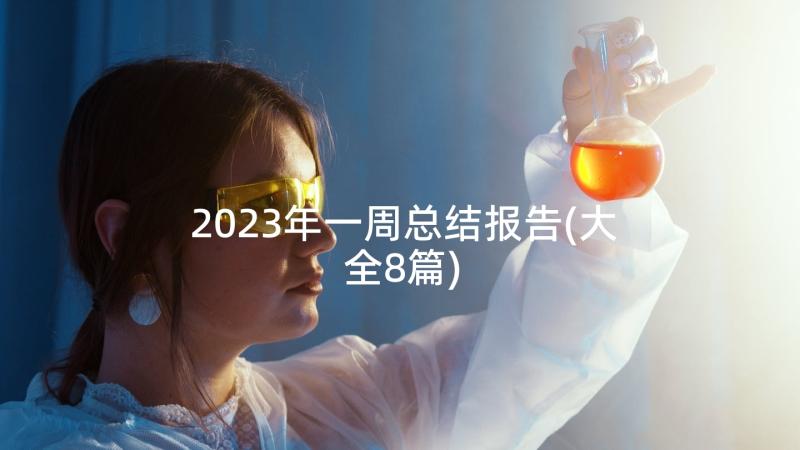 2023年一周总结报告(大全8篇)