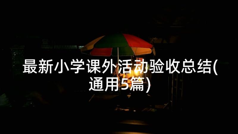 最新小学课外活动验收总结(通用5篇)