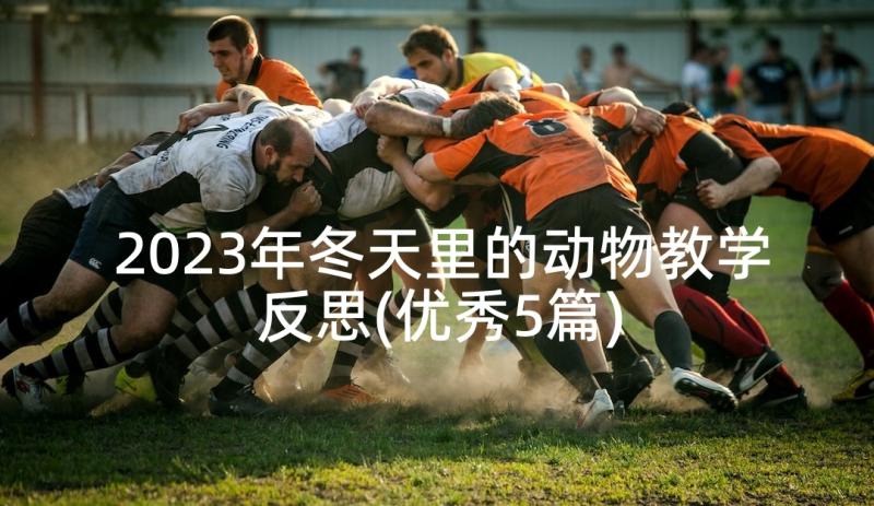 2023年冬天里的动物教学反思(优秀5篇)