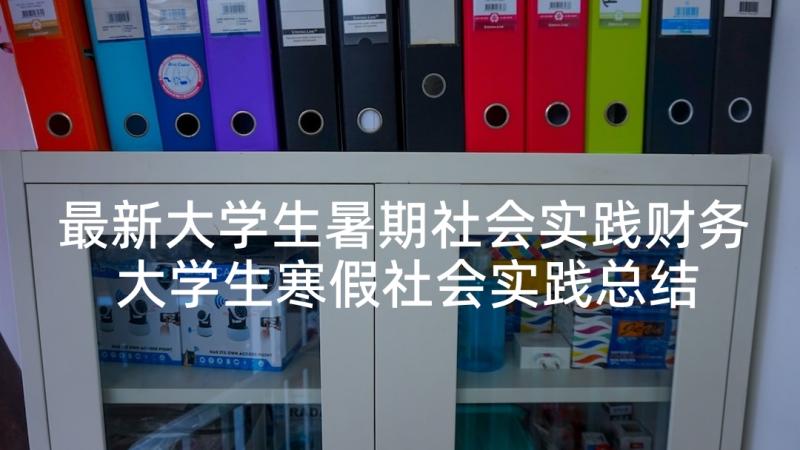 最新大学生暑期社会实践财务 大学生寒假社会实践总结报告(汇总6篇)