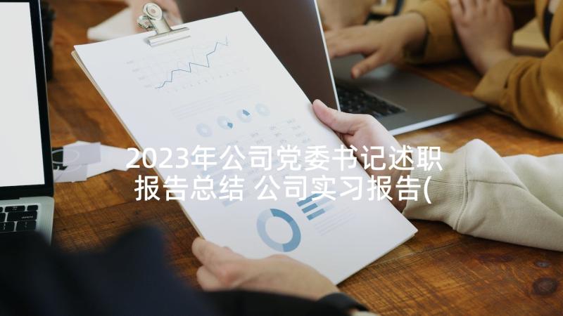2023年公司党委书记述职报告总结 公司实习报告(模板8篇)